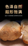 Sulfur-Free Dried Hericium Mushroom - Fresh, Loose Bulk Edible Fungi