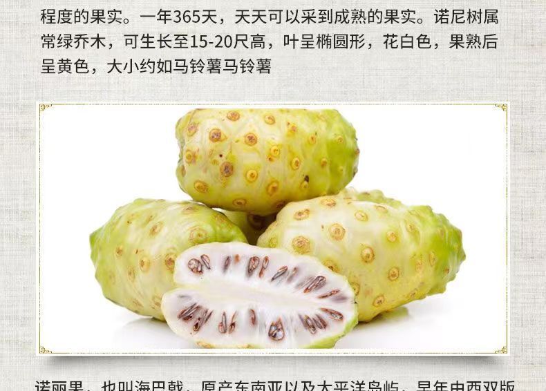 50g Morinda Citrifolia Herbal Tea 50 Grams Fresh Hainan Noni Fresh Fruit Dried
