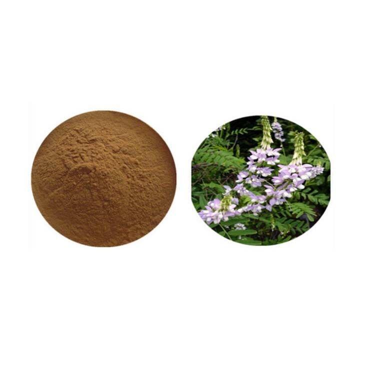 100g Goat's Rue 10:1 Extract - Natural Breast Milk Production Aid Main image