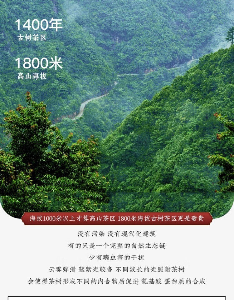 Tulin Phoenix Pu-erh Ripe Tea Yunnan Phoenix Tuocha 100g Aged Tree Wood Aroma