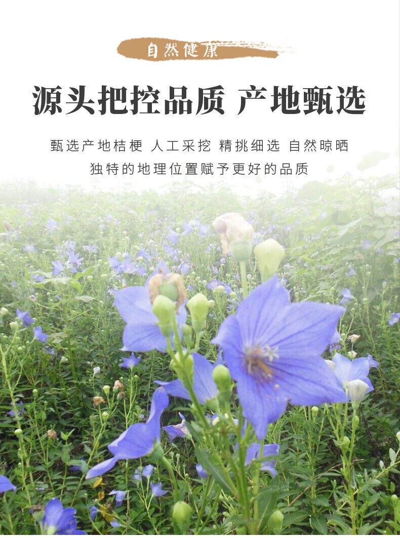 Platycodon Grandiflorus Slices New Stock Direct Factory Price