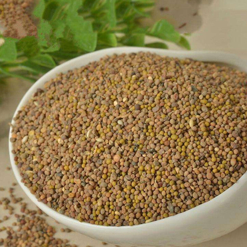 Cuscuta Chinensis Powder Tu Si Zi Dodder Powder Freshly Ground Powder