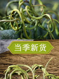 Changbai Mountain Kidney Essence Tea 50g/can Specialty of Northeast China