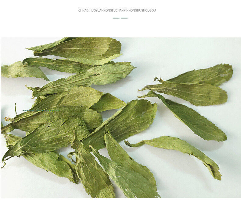 Wholesale supply of stevia/stevia leaf bulk goods wholesale 17.6oz