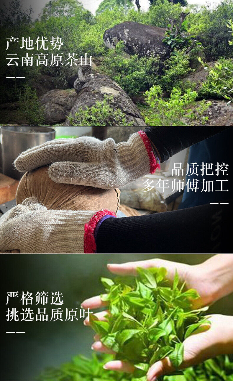 Yunnan Pu'er Tea Cake Jingmai Mountain 357g Raw Tea Cake