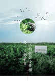 Xinhui Sun-dried Green Orange Peel Pu-erh Tangerine Peel Palace Pu'er Ripe Tea
