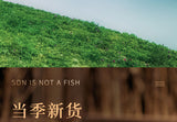 New Walnut Split Wood Chinese Herbal Medicine New Stock Walnut Split Wood