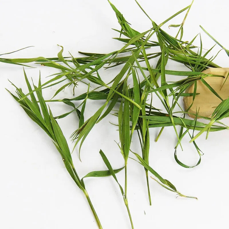 Organic Quality Bamboo Leaf Tea Lophatherum Gracile Tea Herbal Tea