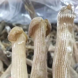 50g high-quality precious seafood dried Sipunus nudus sandworm