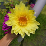 Taiwan Jiupin Perfumed Lotus Flower Tea New Flower Golden Lotus Lotus Flower Tea