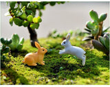 Moss Micro Landscape Deco Garden Mini 3pcs Rabbit Bottle Decoration Supplies