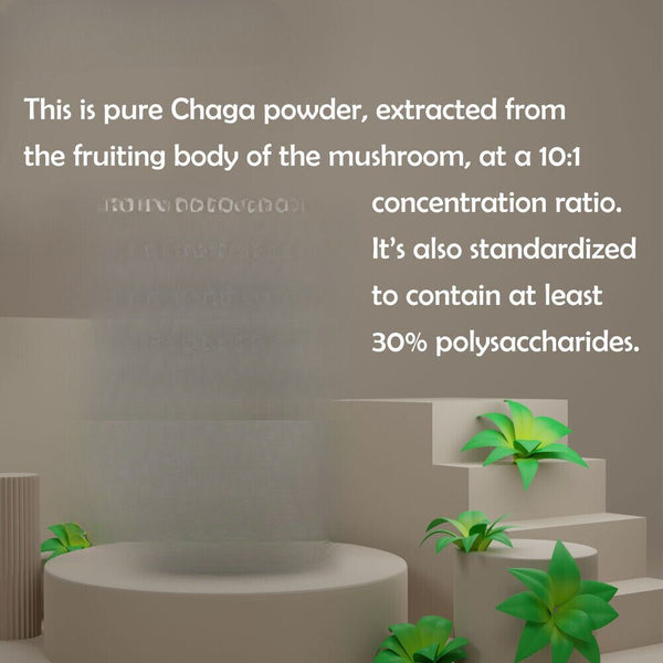 Chaga Mushroom Powder Non GMO 3.53oz Pure Extract