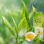 Milk Oolong tea Oolong Loose Leaf Tea 250g