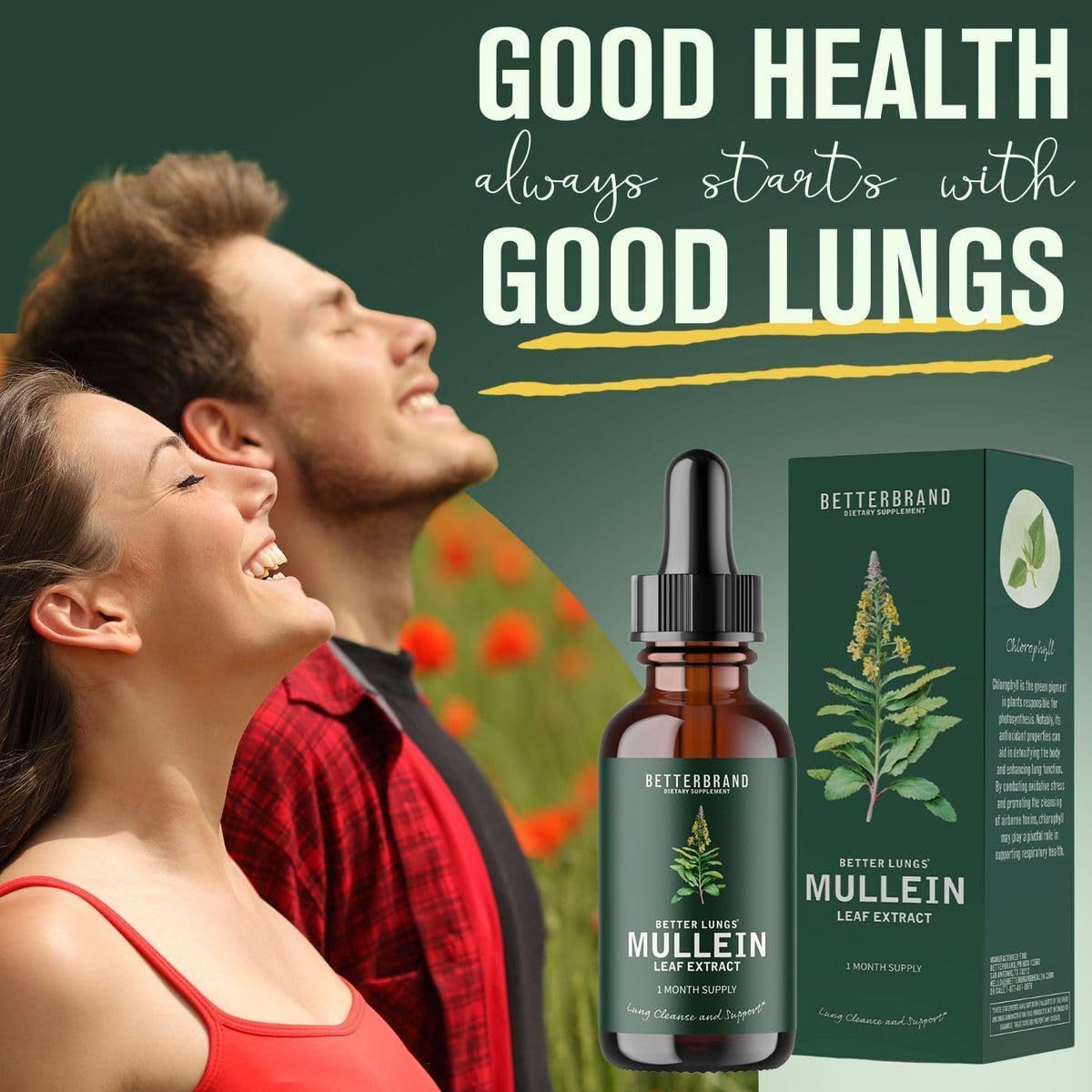Mullein Leaf Extract Drops All-Natural Ingredients Premium Lung Cleanse