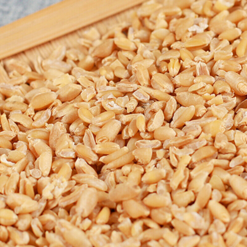 500g Selected High-quality Wheat Organic Healthy Herbal Tea Health Care精选浮小麦