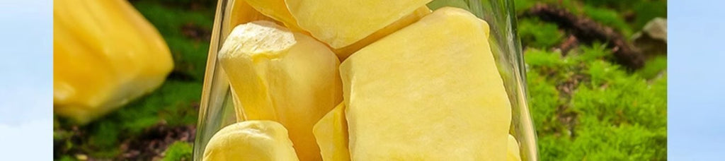Gefriergetrocknete Jackfrucht-Snacks 20g/Beutel - Natürlich süß & knusprig