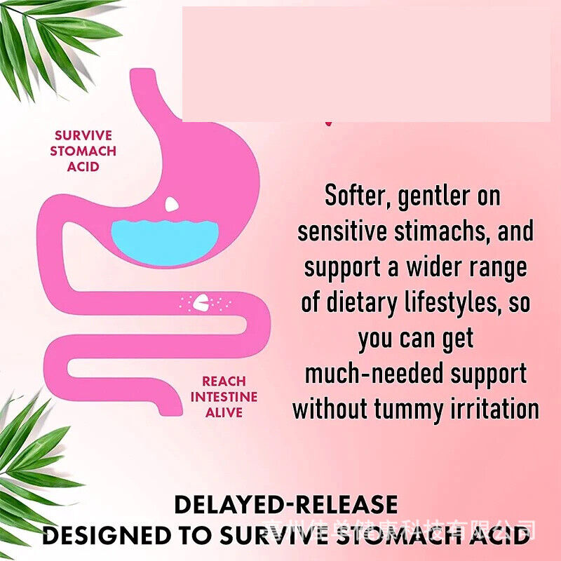 Weight Loss Supplement Digestion Immune Probiotic Gummies Secondary image