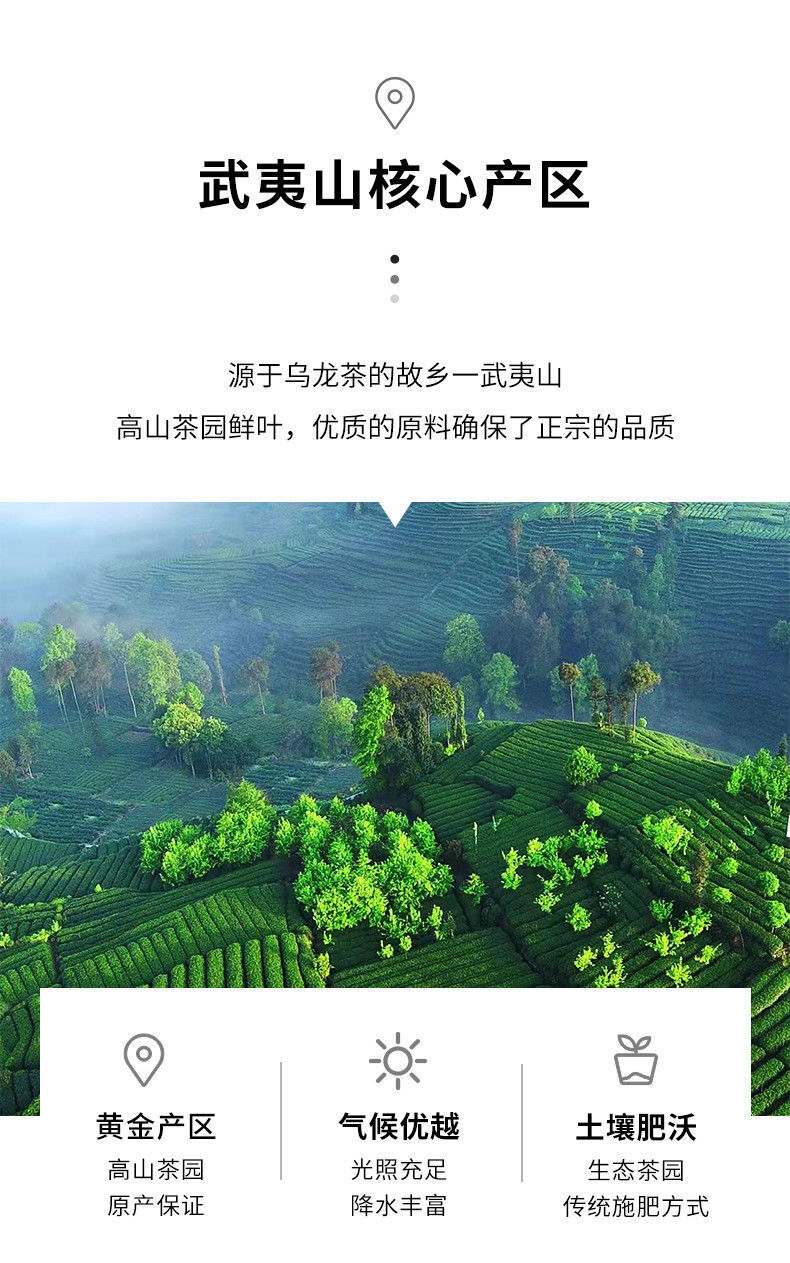Authentic Wuyi Yancha Oolong Tea Loose Leaf 50g for Daily Use