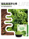 Kale Powder Probiotics Barley Green Juice Dietary Fiber Vegetable Powder 45g
