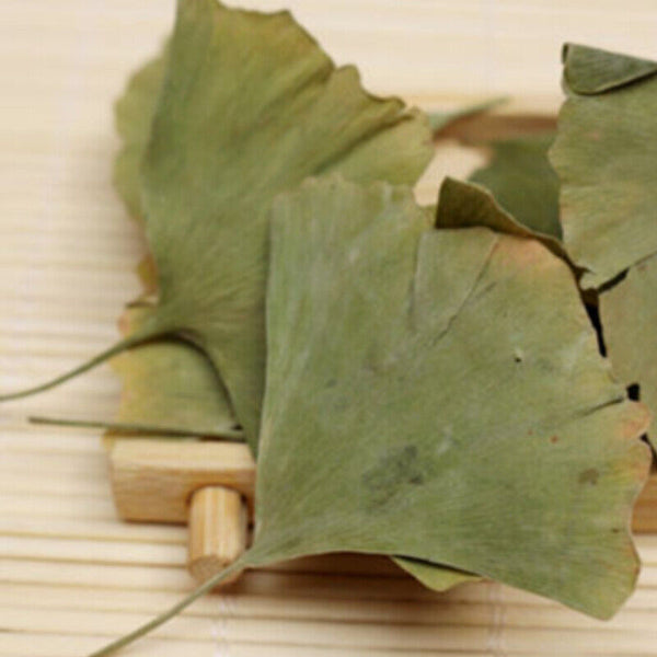 500g Dried Ginkgo Biloba Leaf Tea Herbal Health Pure Natural Anti-aging Green