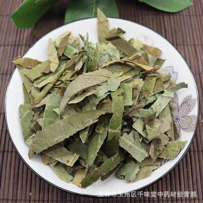 Fresh Oquat Leaf Chinese Herbal Guangxi Wild Loquat Leaf Dried Loquat Leaf Tea Main image