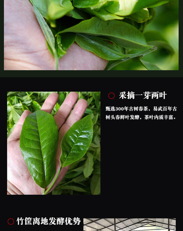 Yiwu Ancient Tree Tea Leaves Yunnan Pu'er Ripe Tea Mini Tuo Tea 500g
