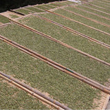 Natural 500g High Mountain Shoumei Spring Tea Fuding Loose Leaf White Tea