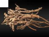 Chai Hu /柴胡 / Hare's Ear Root /Bupleuri /Thoroughwax / Bupleurum Chinense 250g
