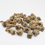 500g Premium Chinese Herb, Panax notoginseng ginseng root