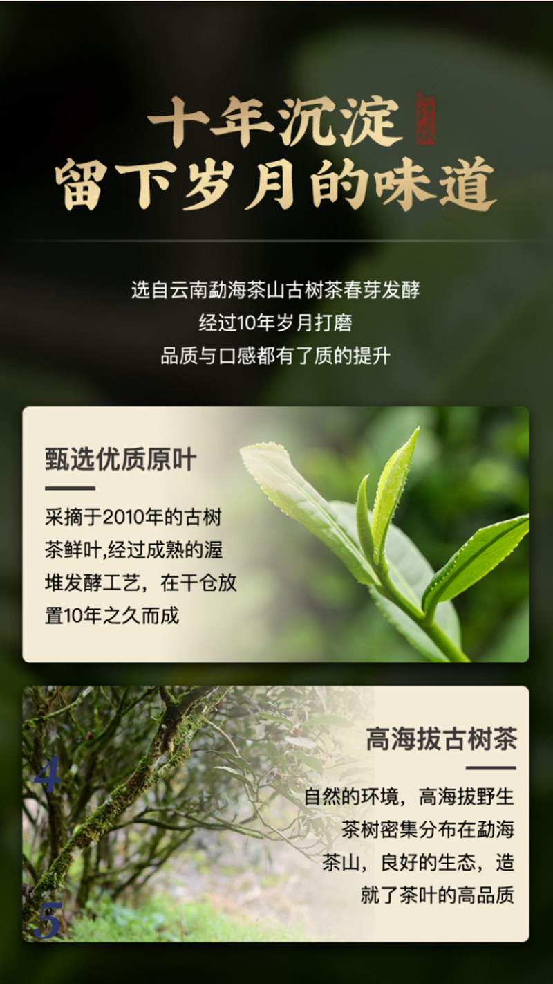 Glutinous Rice Fragrance Crushed Silver Tea Fossil Yunnan Pu'er Ripe Tea 50g/Can