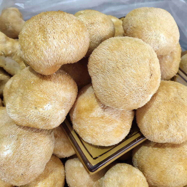 250g Hericium Erinsceus Mushroom Premium Lions Mane Mushroom Chinese Dried Goods Secondary image