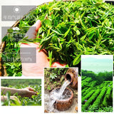 250g High Quality Biluochun Green Tea Chinese Gift Tea Ecology Tea Health Care