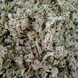 Premium Dried Honey Flower Fresh Stock Chinese Medicinal Herb Natural