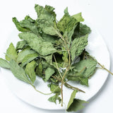 Dried Flower Tea Peppermint Tea Healthy and Natural Mint Herbal Loose Tea