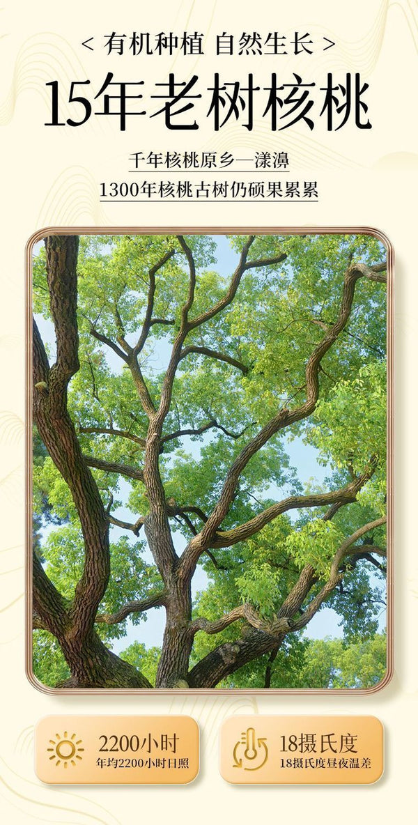 Organic Raw Walnuts – Fresh Shelled, No Additives