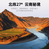 Maca 250g Maca in Cans Black Maca Water Yunnan Maca Slices