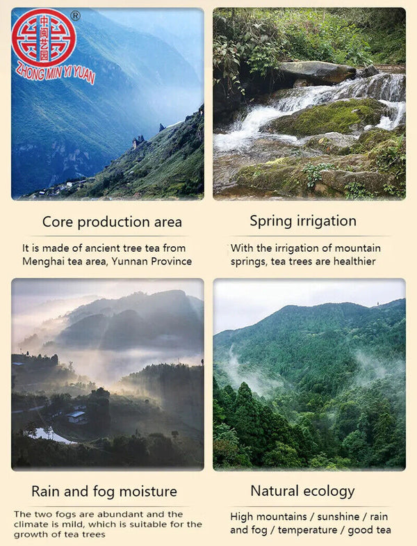 New Black Pu'er Tea Yunnan Xiaotuo Tea Pu'er Tea Organic Natural Pu'er 100g