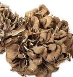 500g Natürliche getrocknete Maitake Nahrungsergänzungsmittel Grifola Frondosa