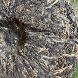 357g Changrui Grade Old Raw Pu'er 2008 Yunnan Tea Tree King Raw Pu'er Tea Cake