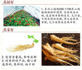 100g American Ginseng Slices Changbai Mountain High Quality Ginseng Slices