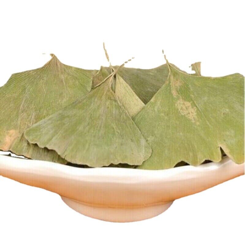500g Dried Ginkgo Biloba Leaf Tea Herbal Health Pure Natural Anti-aging Green