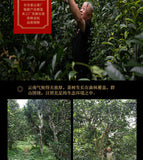 200g Tianxiang BrownMountain Ripe Cake Yunnan Menghai Pu'er Seven Hand Torn Cake