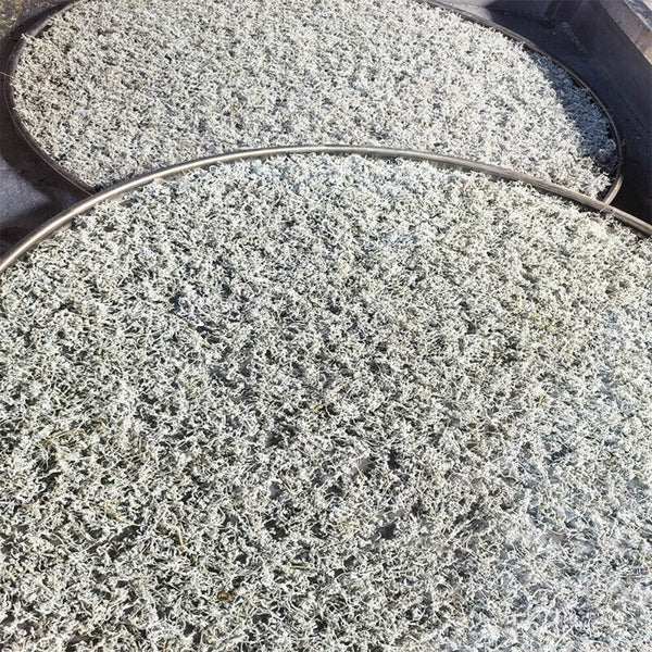 Laifeng Selenium Rich Vine Tea Small Jar Premium Zhangjiajie Berry Tea