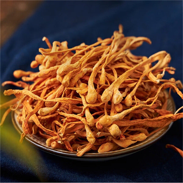 North Cordyceps Flower Dried Premium Quality for Soup Chicken Stew Fresh Herbal