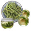 Herbal Tea Top Grade Mountain Pink Tea Shizhu Tea  Wild Green Food China Laoshan