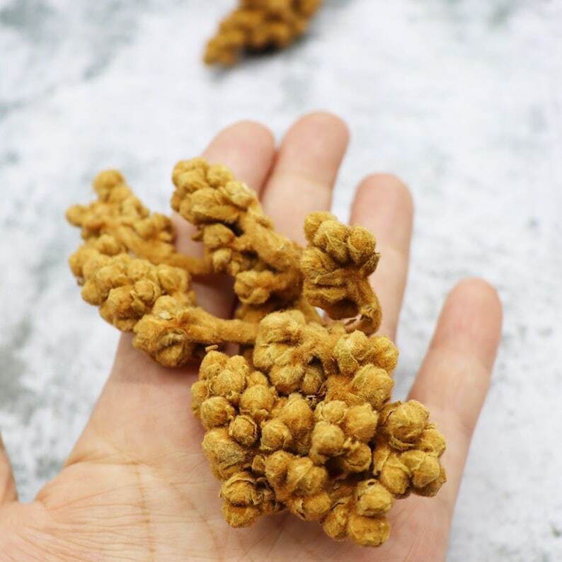 Organic Dried Loquat Flower, Eriobotrya Japonica Secondary image