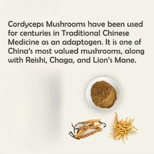 Cordyceps Mushroom Powder 8.8oz