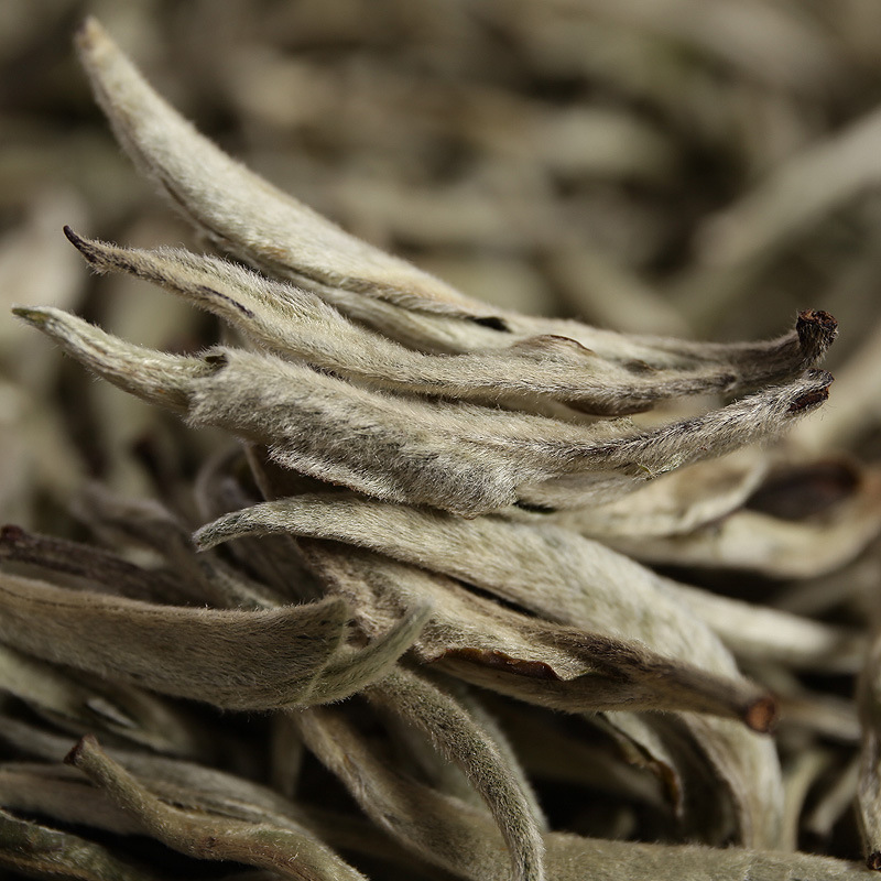 Pu'er raw tea white hair silver needle white hair single bud moonlight white tea Secondary image