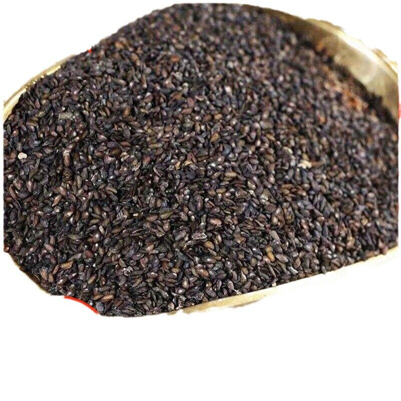 Psyllium Chinense Herbs Clean No Impurities No Sulfur New Psyllium Seeds 500g