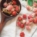 Organic Dried Red Artful Plum Tea, Redartfulplumtea, Hong Qiao Mei Flower Tea